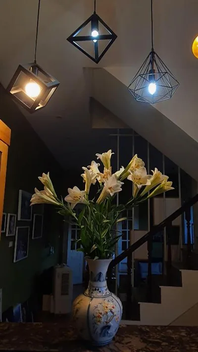 De Studio HomeStay – Foto’s 14